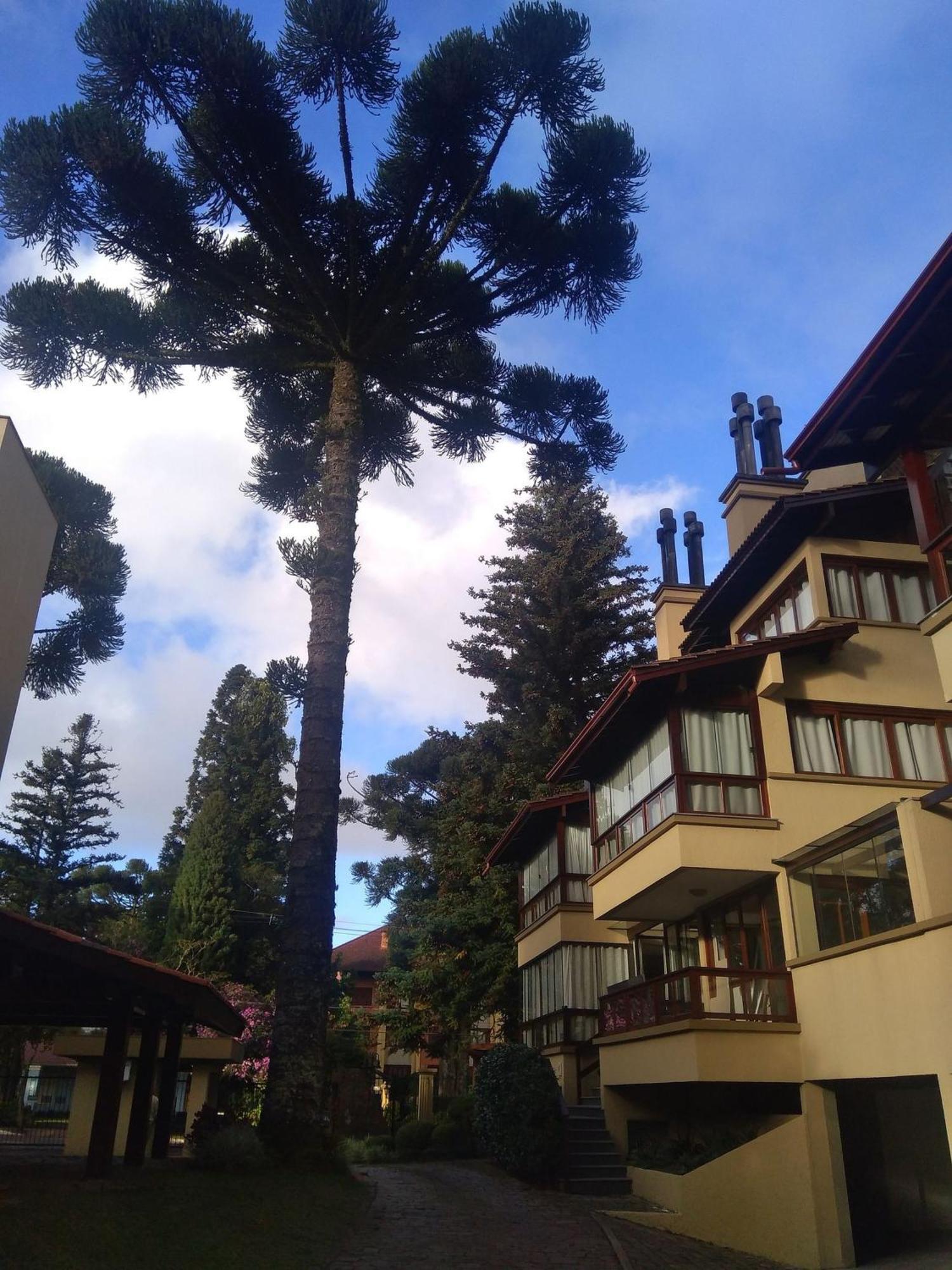Apartmán Estacao Das Hortensias, Seu Aconchego Em Gramado Exteriér fotografie
