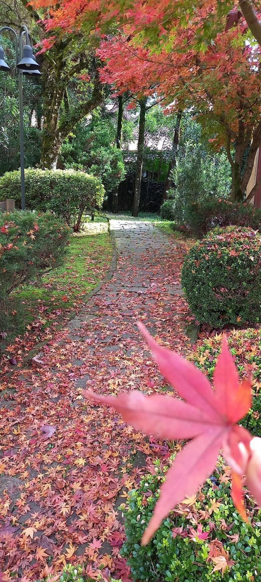 Apartmán Estacao Das Hortensias, Seu Aconchego Em Gramado Exteriér fotografie