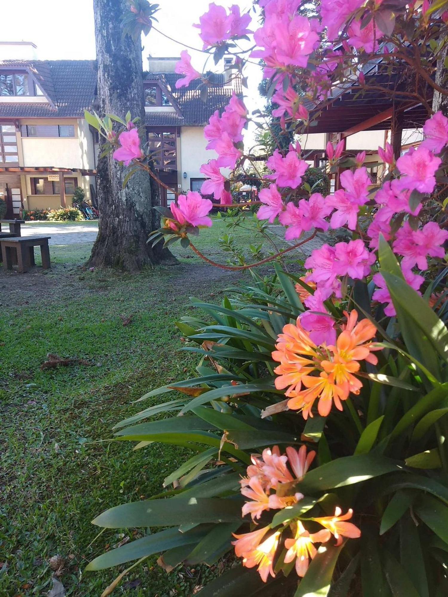 Apartmán Estacao Das Hortensias, Seu Aconchego Em Gramado Exteriér fotografie